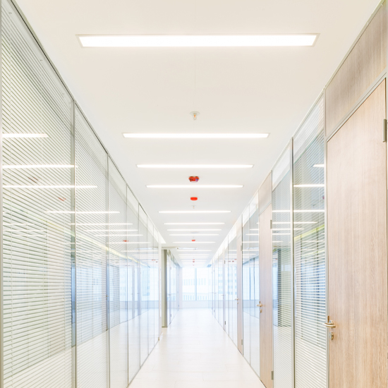Commercial Light2